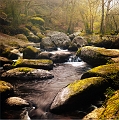 paysage 09_04_11n04
